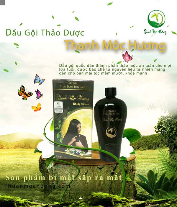 dầu gội thảo dược thanh mộc hương mẫu mới 2021