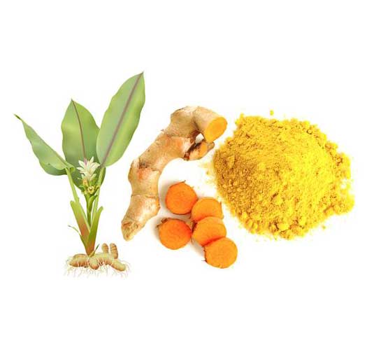 nghệ tươi