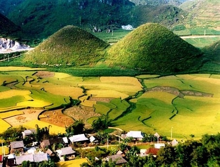Thuần Mộc Thanh Mộc Hương Hà Giang