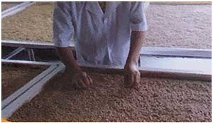 sơ chế đậu nành thanh mộc hương