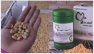 nghiền sấy mầm đậu nành thành bột