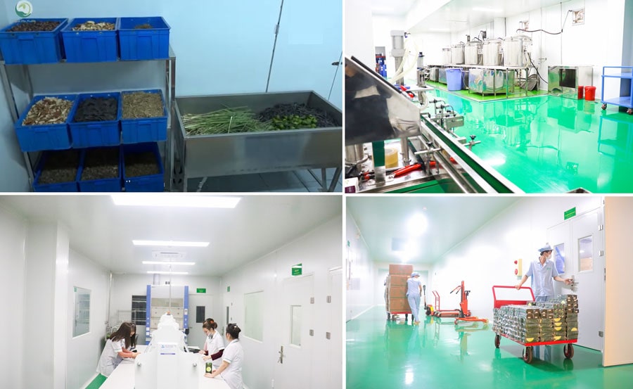 quy trình sản xuất dầu gội thảo dược thanh mộc hương